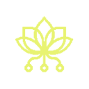 pollinations